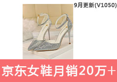 京东女鞋类目销售额从56520到225202